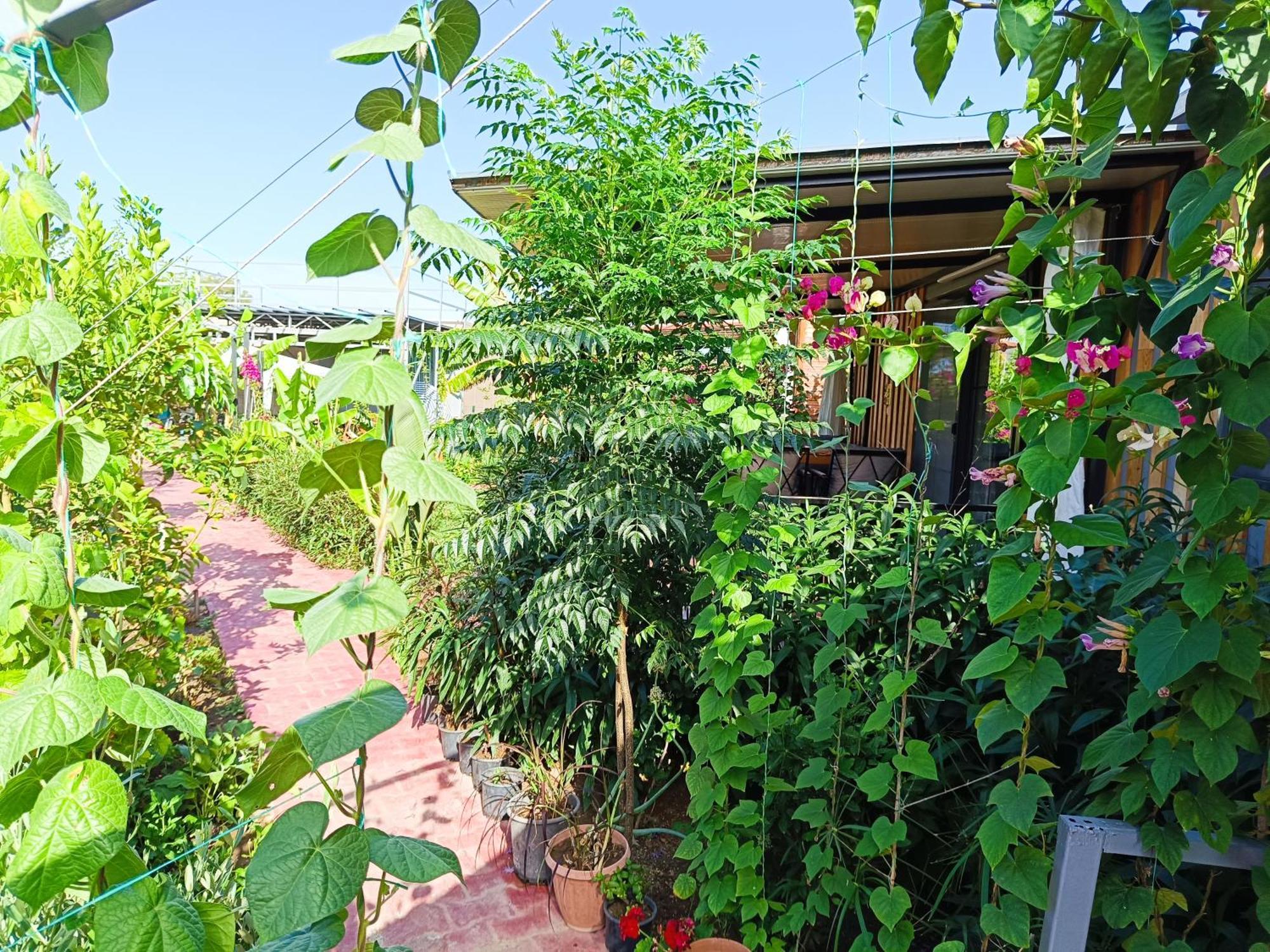 Arlin Bungalows Kemer Exterior foto